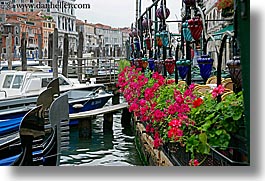 images/Europe/Italy/Venice/Misc/flowers-n-canal-2.jpg