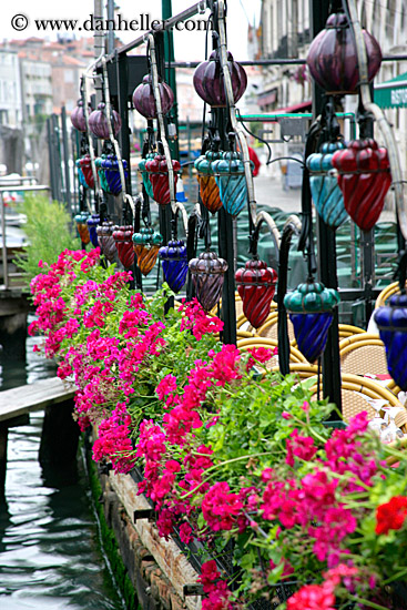 flowers-n-canal-3.jpg