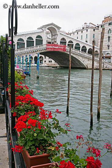 flowers-n-rialto-bridge-1.jpg