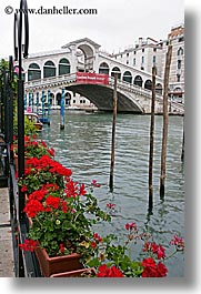 images/Europe/Italy/Venice/RialtoBridge/flowers-n-rialto-bridge-1.jpg
