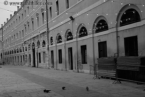 birds-on-lit-square-bw.jpg