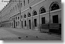 images/Europe/Italy/Venice/Streets/birds-on-lit-square-bw.jpg