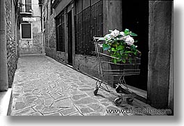 images/Europe/Italy/Venice/Streets/flowers-cbw.jpg