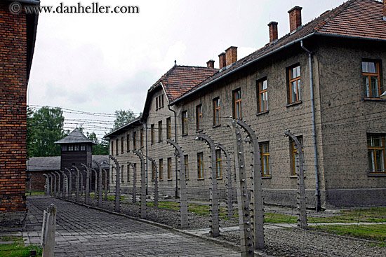 barbed-wire-n-bldg-2.jpg