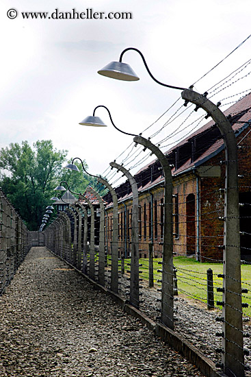 barbed-wire-n-lights.jpg