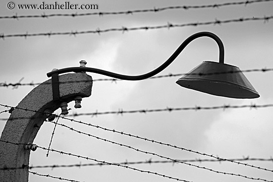 barbed-wire-n-lights-bw.jpg