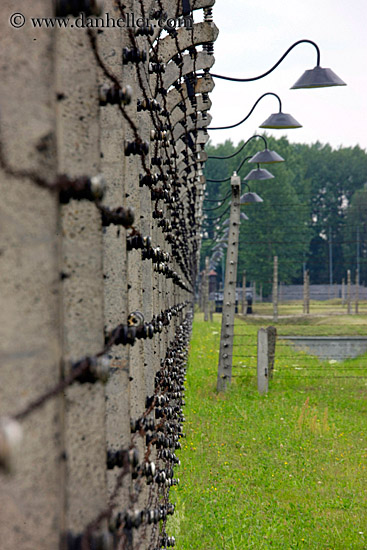 barbed-wire-n-lights-n-grass.jpg