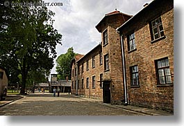 images/Europe/Poland/Auschwitz/barracks-n-trees-1.jpg