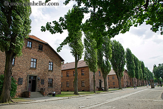 barracks-n-trees-2.jpg