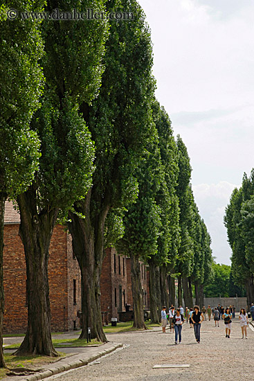 barracks-n-trees-3.jpg