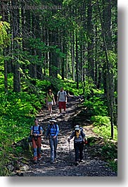 images/Europe/Poland/Hikers/hiking-in-woods-05.jpg