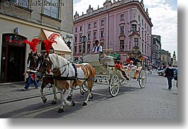 images/Europe/Poland/Krakow/HorseCarriage/horse-n-carriage-3.jpg