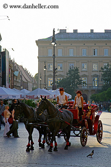 horse-n-carriage-5.jpg