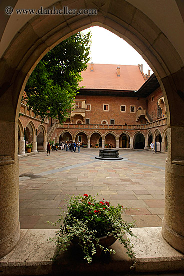 red-flowers-in-archway-5.jpg