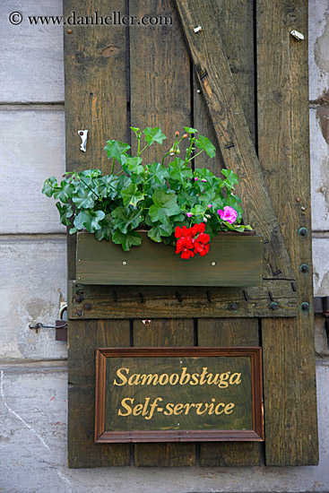 red-geranium-over-self-service-sign.jpg