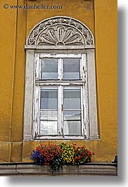 images/Europe/Poland/Krakow/Windows/colorful-flowers-on-orange-wall-windows-1.jpg