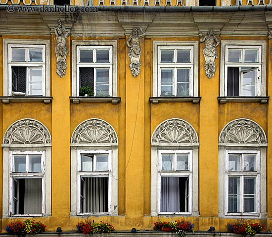 colorful-flowers-on-orange-wall-windows-2.jpg