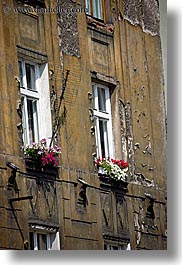 images/Europe/Poland/Krakow/Windows/red-flowers-in-window-box.jpg