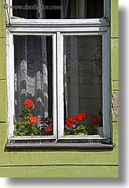 images/Europe/Poland/Krakow/Windows/red-flowers-in-window.jpg