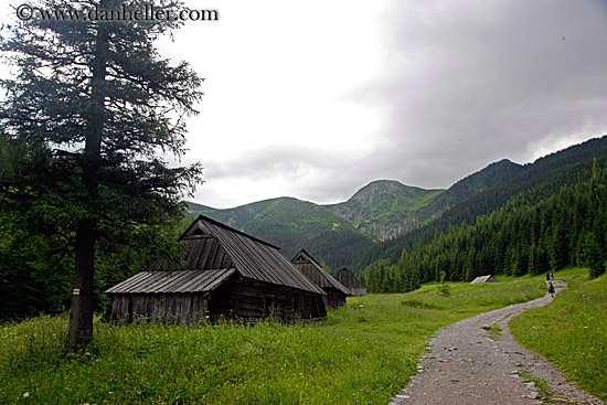 wood-houses-n-path.jpg