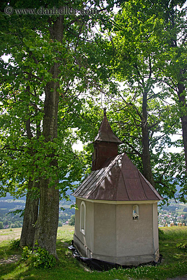 church-in-trees.jpg