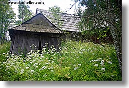 images/Europe/Poland/Zakopane/Buildings/old-barn-n-green-weeds.jpg