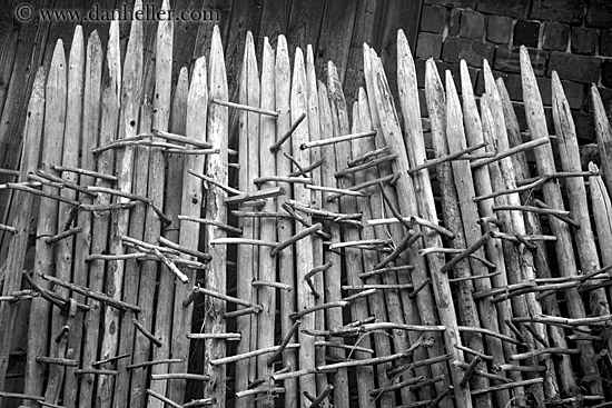 sticks-bw.jpg