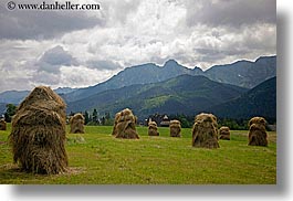 images/Europe/Poland/Zakopane/Scenic/hay-stacks-n-scenic-2.jpg