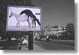 images/Europe/Portugal/Artsie/horses-sign.jpg