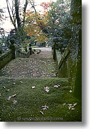 images/Europe/Portugal/Scenics/mossy-stairs.jpg