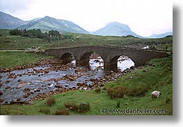images/Europe/Scotland/Animals/Sheep/sheep-0002.jpg