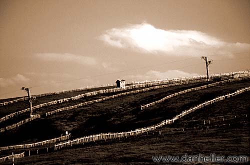 fence-hill-bw.jpg