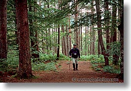 images/Europe/Scotland/GlenAfric/woods-0003.jpg