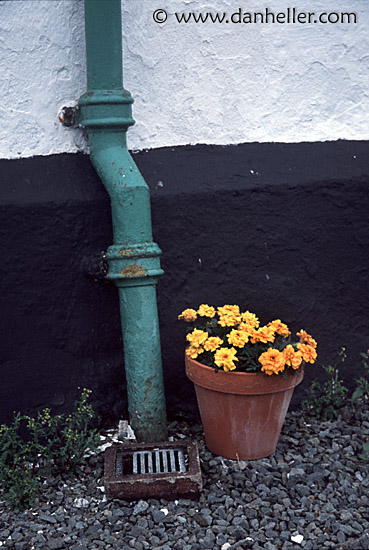 green-pipe-n-flower.jpg