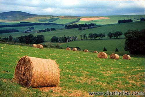 hay-bale.jpg