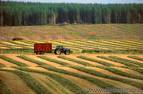 highland-farm-a.jpg