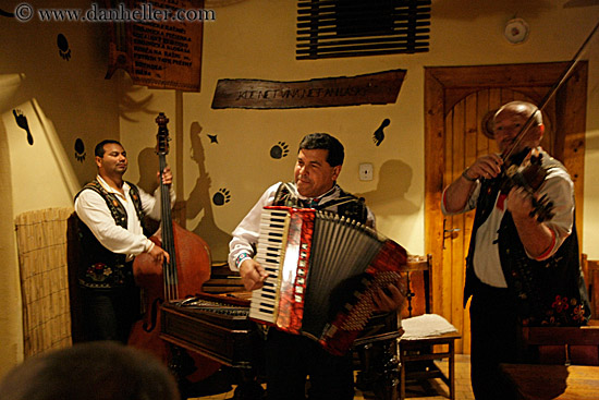 accordion-player-n-musicians-1.jpg