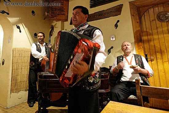 accordion-player-n-musicians-2.jpg