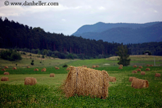 hay-bales-3.jpg