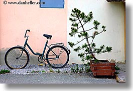 images/Europe/Slovakia/Misc/bicycle-n-leaning-tree.jpg