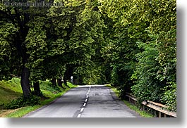 images/Europe/Slovakia/Roads/tree-lined-road-2.jpg