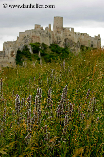 castle-n-green-fields-5.jpg