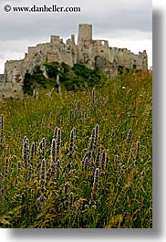 images/Europe/Slovakia/SpisCastle/castle-n-green-fields-5.jpg