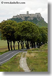 images/Europe/Slovakia/SpisCastle/tree-lined-road-to-castle-2.jpg