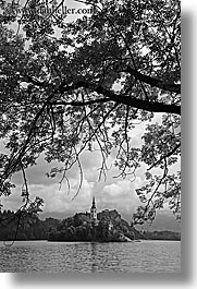 black and white, bled, branches, churches, europe, islands, lakes, slovenia, vertical, photograph