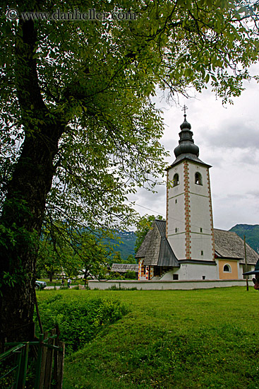 church-n-tree.jpg