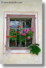 images/Europe/Slovenia/Bohinj/DoorsWindows/geraniums-n-window-1.jpg