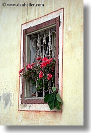 images/Europe/Slovenia/Bohinj/DoorsWindows/geraniums-n-window-3.jpg