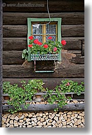 images/Europe/Slovenia/Bohinj/DoorsWindows/geraniums-n-window-n-wood.jpg
