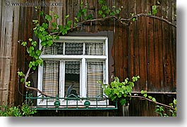 images/Europe/Slovenia/Bohinj/DoorsWindows/vines-around-window.jpg